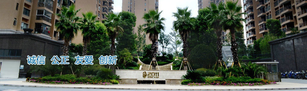 服務(wù)現(xiàn)場